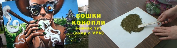 дурь Горняк