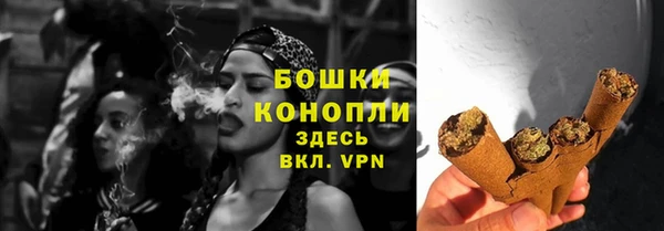 дурь Горняк