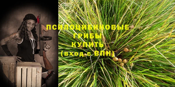 дурь Горняк