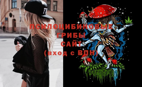 дурь Горняк