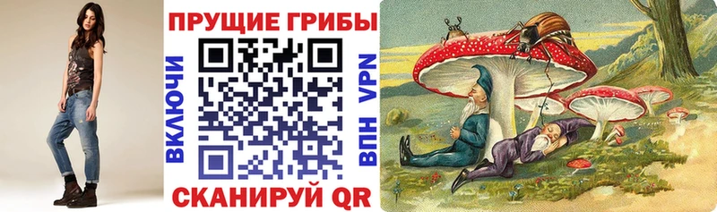 блэк спрут ссылки  Мценск  Псилоцибиновые грибы прущие грибы 
