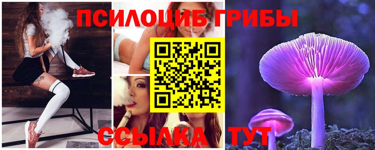 Мценск  Псилоцибиновые грибы мицелий  Вход с VPN 